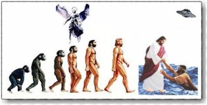 Evolution of Man