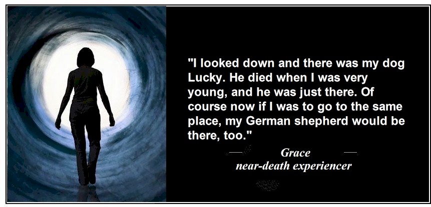 Grace's Near-Death Experience With Her Pet Dog - Near-Death Experiences