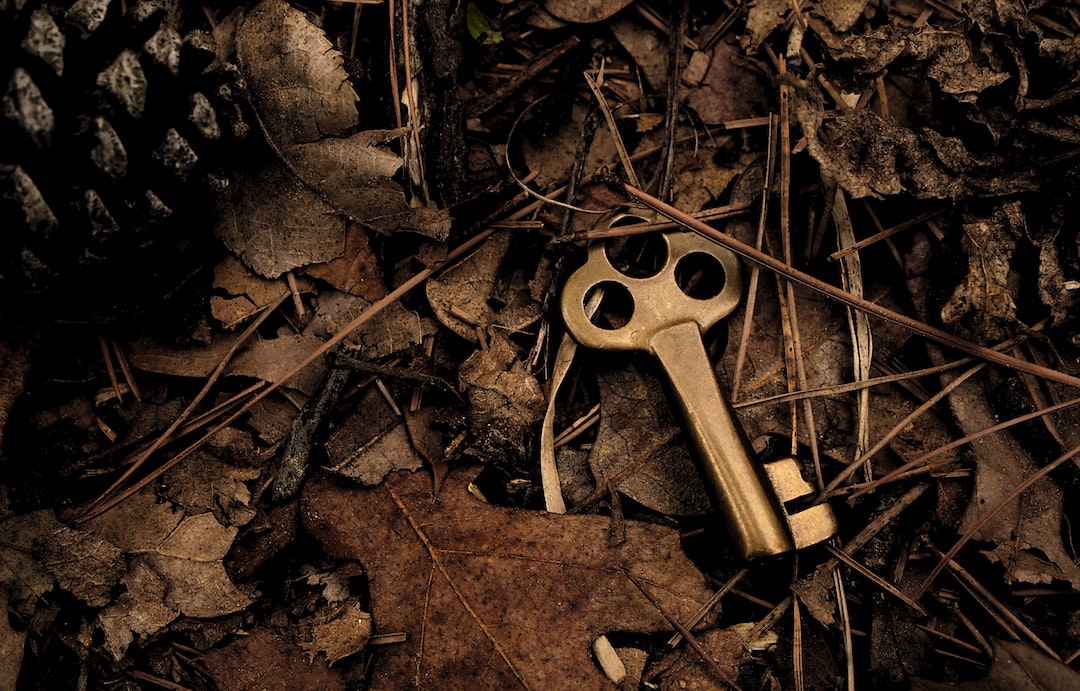 skeleton key surround with dry leaves