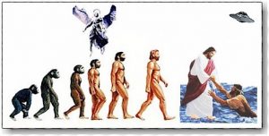 Evolution of man