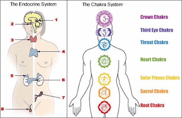 Chakra chart