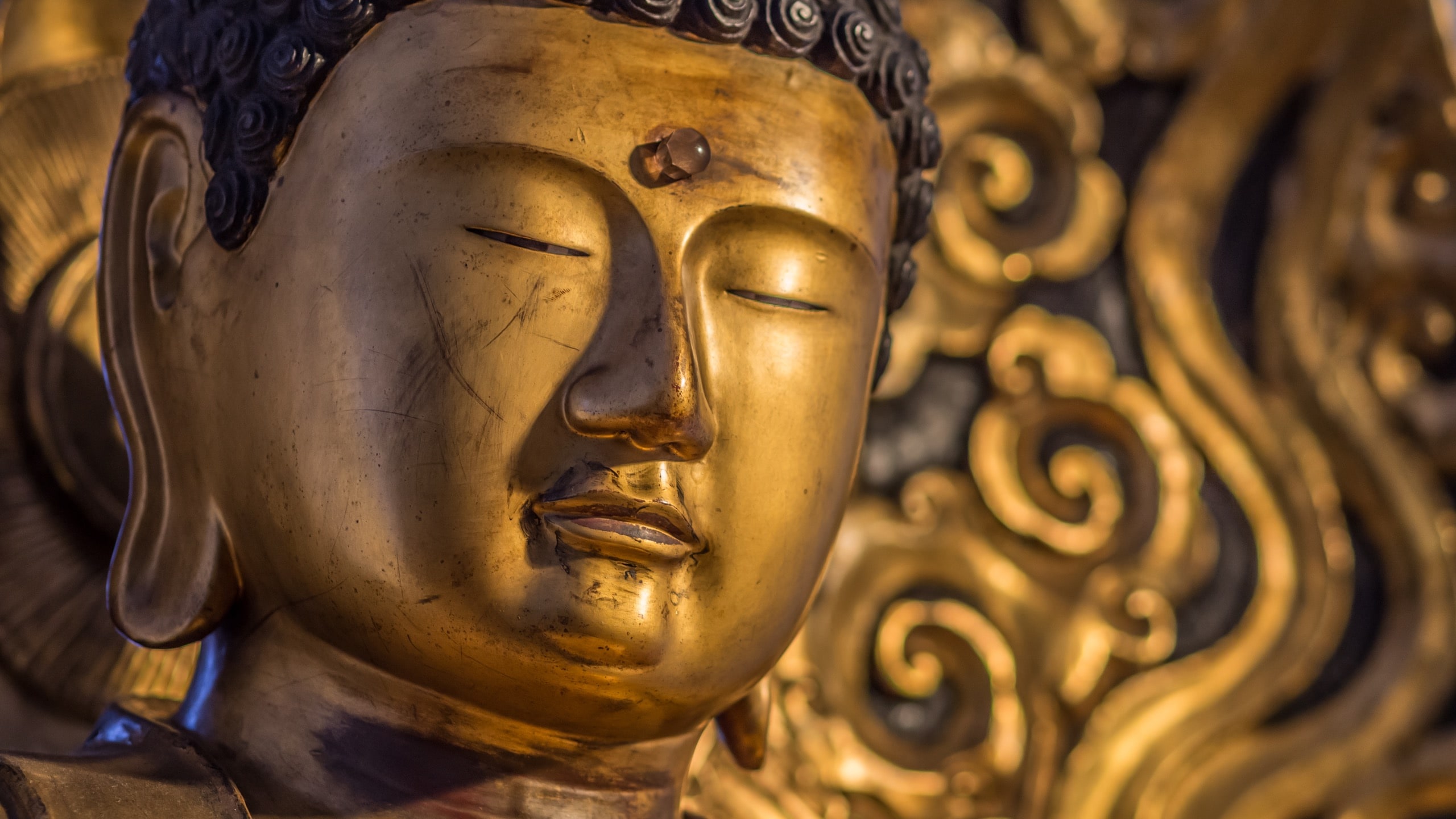 Golden Buddha staring at you behind semi closed eyes