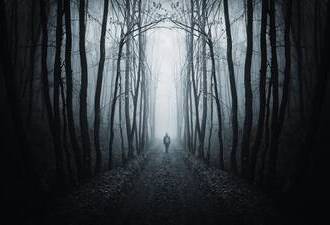 man walking on a path in a strange dark forest with fog