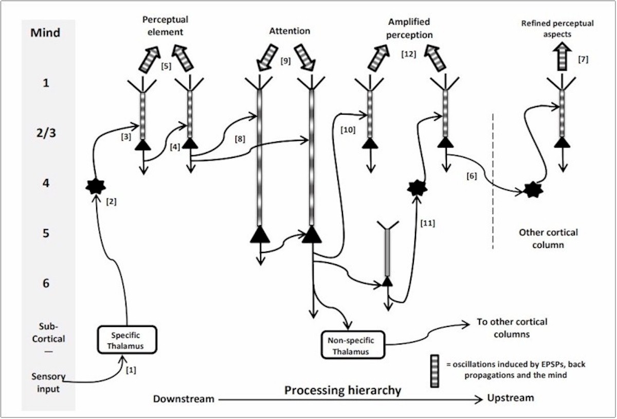 NearDeath Experiences Solve the Hard Problem of Consciousness Near