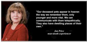 Jan Price on Pets